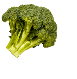 Broccoli